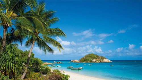 很范石锅鱼米饭