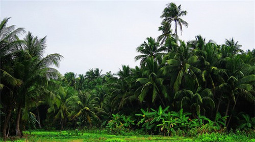 味传佰市井老火锅