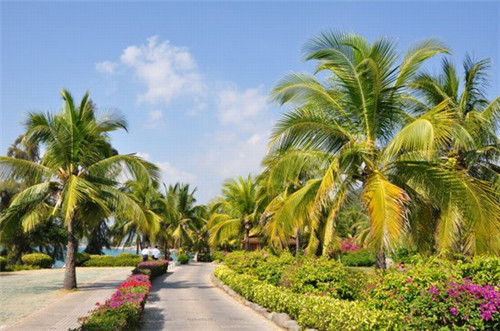 无渔伦比蒸汽石锅鱼火锅