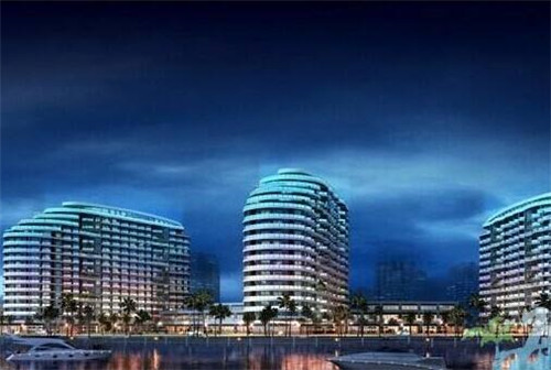 华莱健安化黑茶