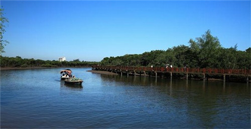 咖啡杯陶瓷的好还是骨瓷的好