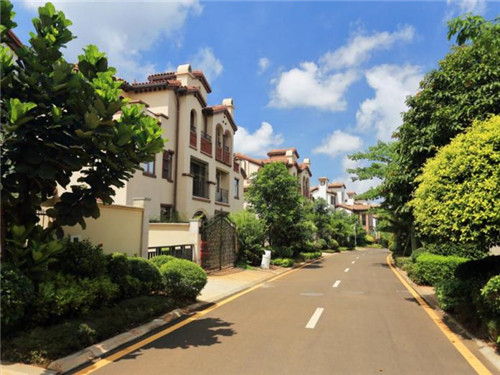 七台河市有什么好的貂皮大衣加盟品牌，七台河有收貂的地方吗