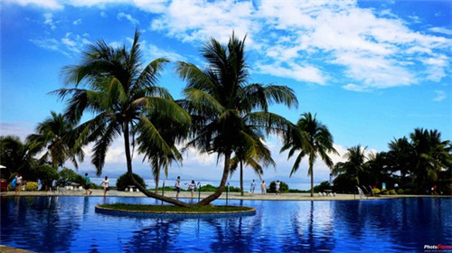 骆驼线上加盟费多少