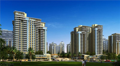 炒番茄土豆卷心菜怎么炒（番茄卷心菜土豆汤）