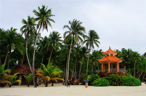 盲品英文（盲品是什么意思）