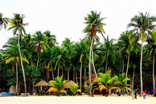 CF手游怎么玩风之子（cf手游风之子教学）