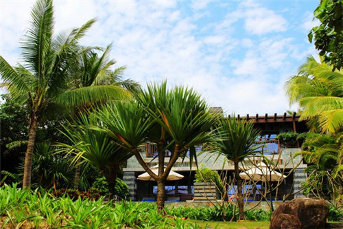 槟榔口腔开口器（槟榔开口多长时间就不能吃了）