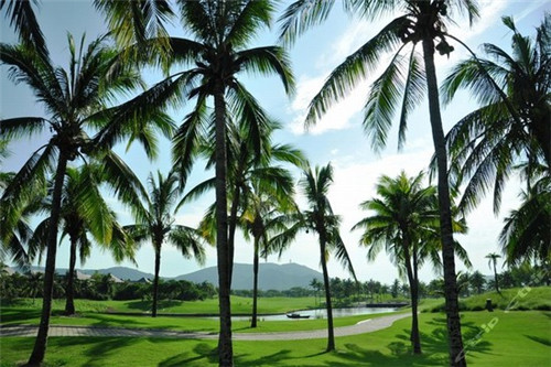 不高不矮的烦恼是什么歌（不高不矮是个好人才,是什么歌）