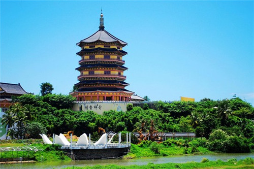 龙子湖岛上有什么景点（龙子湖岛上有什么景点吗）