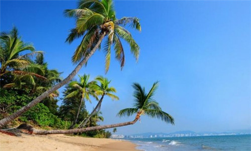 蜘蛛升级的小游戏是什么（蜘蛛升级大招有什么用）